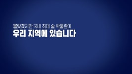 몰랐겠지만 국내 최대 술 박물관 우리 지역에 있습니다! - kakaoTV 몰랐겠지만  국내 최대 술 박물관 우리 지역에 있습니다! 