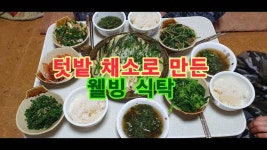 텃밭 채소로 만든 웰빙 식탁 - kakaoTV 텃밭 채소로 만든 웰빙 식탁