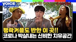 보이스오브경북 l 코로나도 박살내는 신비한 치유공간!! - kakaoTV 보이스오브경북 l 코로나도 박살내는 신비한 치유공간!!
