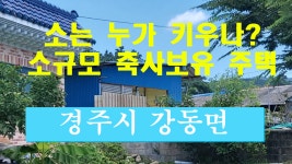 포항부동산,경주부동산 강동면 단구리 축사보유 주택매매 - kakaoTV 포항부동산,경주부동산 강동면 단구리 축사보유 주택매매