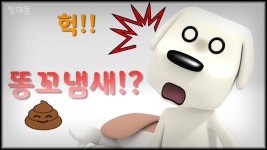 강아지들이 다른 강아지의 똥꼬에 집착하는 이유!! - kakaoTV 강아지들이 다른 강아지의 똥꼬에 집착하는 이유!!