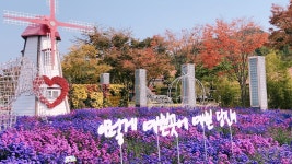 2018 대전오월드 플라워랜드 가을꽃축제, 국화축제, 대전가볼만한곳 - kakaoTV 2018 대전오월드 플라워랜드 가을꽃축제, 국화축제... 