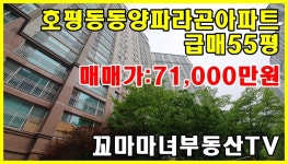 호평파라곤아파트 매매 - kakaoTV 호평파라곤아파트 매매