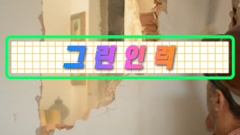 고양시 인력 일산 철거복구 그린인력 - kakaoTV 고양시 인력 일산 철거복구 그린인력