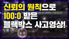 [윤앤리TV] 해석 블랙박스 #9 - 신뢰의 원칙을 위반한 중앙선 침범, 신호위반 차량! - kakaoTV [윤앤리TV] 해석 블랙박스 #9 - 신뢰의 원칙을... 
