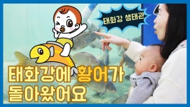 [생태여행] 태화강 생태관에서 처음 만난 물고기 친구들 l 태화강으로 돌아온 황어 taewha river - kakaoTV [생태여행] 태화강 생태관에서... 