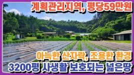 양평전원주택 토지매물 3227평 넓은땅 명당터 연수원 별장 숲세권 귀농지 농장 전원주택 급매물전문 전원시대 - kakaoTV 양평전원주택... 