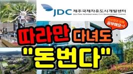 제주부동산 - 부자만 따라다녀도 돈번다 (jdc) - kakaoTV 제주부동산 - 부자만 따라다녀도 돈번다 (jdc)