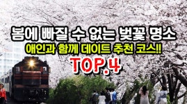 경포호,진해군항제,범어사,녹산로,제주도,부산) - kakaoTV 봄에 빠질 수 없는 벚꽃 명소 추천 TOP4!! (fast. 경포호,진해군항제,범어사... 