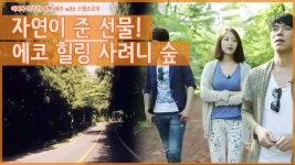 에코 힐링 사려니 숲 [어쩌다 마주친 여행-제주] 1회 - kakaoTV 자연이 준 최고의 선물! 에코 힐링 사려니 숲 [어쩌다 마주친 여행-제주] 1회