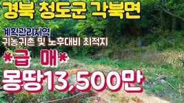 급매 노후대비 주말농장 - kakaoTV 전국싼땅 경북 청도 각북면 계획관리 마을내위치 차량진입 장기투자 귀농 귀촌 최적지 급매 노후대비 주말농장