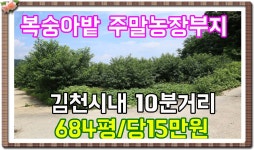 매물번호:1-38번##경북김천시어모면옥율리복숭아농장.김천시어모면옥율리주말농장용지.김천시어모면옥율리주말농장부지 - kakaoTV 매물번호:1... 
