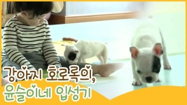 아기 강아지 호로록의 윤슬이네 입성기 [땡큐 베이비 독] 1회 - kakaoTV 아기 강아지 호로록의 윤슬이네 입성기 [땡큐 베이비 독] 1회