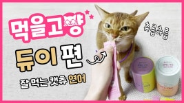 듀이의 페페로니 캣츄 먹방ㅣ고양이 먹방ㅣ먹을고양 #21 - kakaoTV... 간식의 이름은?!? 듀이의 페페로니 캣츄 먹방ㅣ고양이 먹방ㅣ먹을고양 #21