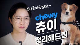 감성 200% 반려동물 업계의 아마존, 츄이 - kakaoTV 감성 200% 반려동물 업계의 아마존, 츄이