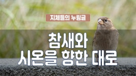 지체들의 누림글 264회 - 참새와 시온을 향한 대로 - kakaoTV 지체들의 누림글 264회 - 참새와 시온을 향한 대로