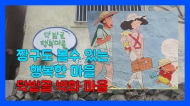  행복한 마을 영주동 닥밭골 벽화마을 - kakaoTV  행복한 마을 영주동 닥밭골 벽화마을