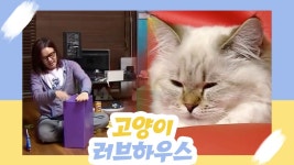 김종서의 고양이 러브하우스 [오 마이 펫] 9회 - kakaoTV 김종서의 고양이 러브하우스 [오 마이 펫] 9회