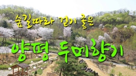 숲길따라 걷기 좋은 양평 두메향기 - kakaoTV 숲길따라 걷기 좋은 양평 두메향기