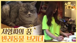 서영씨의 새로운 꿈, 반려동물 브리더 [식빵굽는 고양이] 8회 - kakaoTV 서영씨의 새로운 꿈, 반려동물 브리더 [식빵굽는 고양이] 8회