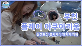 부천 플레이 아쿠아리움🐳 꿀잼보장!! 상어도 있고, 물범도 있고, 펭귄도 있고, 없는 게 없다규! - kakaoTV 부천 플레이 아쿠아리움🐳 꿀잼보장!!... 