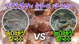 향과 맛이 기가 막히다는 양양의 늦송이 버섯 ! 두가지 버섯의 칼국수 대결 승자는? [ 양양5일장] - kakaoTV 향과 맛이 기가 막히다는 양양의... 