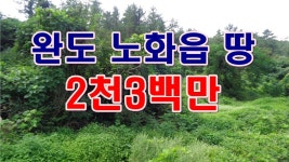 [부동산 경매물건] 전남 완도 노화읍 신양리 땅!! 바다뷰와 건축가능한 땅! - kakaoTV [부동산 경매물건] 전남 완도 노화읍 신양리 땅!! 바다뷰와... 