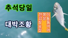 추석 당일 대박조황 통영 풍화리 - kakaoTV 추석 당일 대박조황 통영 풍화리
