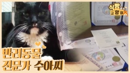 반려동물 전문가 수아 씨의 공부와 고양이 상담 [식빵굽는 고양이] 21회 - kakaoTV 반려동물 전문가 수아 씨의 공부와 고양이 상담 [식빵굽는... 