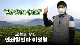 201104방송 [앵콜 재방송]김장의 모든것 ms마트에서 해결하세요~!!🤩😎 - kakaoTV 201104방송 [앵콜 재방송]김장의 모든것 ms마트에서... 
