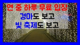 365일 빛 축제가 열리는 일루미아 - kakaoTV 365일 빛 축제가 열리는 일루미아