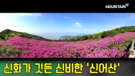 신화가 깃든 신비한 김해 신어산![김동하님의 시청자 산행기-신어산] 마운틴TV - kakaoTV 신화가 깃든 신비한 김해 신어산![김동하님의... 