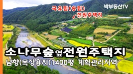 [1046] 국유림 소나무숲 옆 전원주택지 남향 목장용지 1400평 I 박부동산TV - kakaoTV [1046] 국유림 소나무숲 옆 전원주택지 남향... 