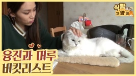 가수 융진과 머루의 버킷리스트 & 고양이 ASMR [식빵굽는 고양이 시즌2] 35회 - kakaoTV 가수 융진과 머루의 버킷리스트 & 고양이 ASMR... 
