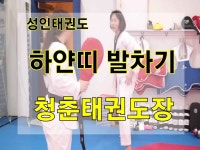 청춘태권도장(여자/다이어트/단증취득) - kakaoTV 성인태권도장에서만 볼수 있는 여성 하얀띠의 화끈한 발차기! 청춘태권도장(여자/다이어트... 