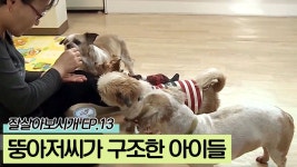 뚱아저씨가 구조한 아이들 [잘살아보시개 시즌2] 13회 - kakaoTV 뚱아저씨가 구조한 아이들 [잘살아보시개 시즌2] 13회