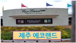 제주 에코랜드, 제주여행, 제주 가 볼만한곳, 힐링여행 - kakaoTV 제주 에코랜드, 제주여행, 제주 가 볼만한곳, 힐링여행