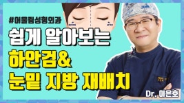 하안검과 눈밑 지방재배치 방법! - 대전 어울림성형외과 - kakaoTV 대전성형외과추천 하안검과 눈밑 지방재배치 방법! - 대전 어울림성형외과