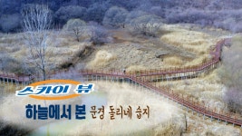 [스카이 뷰] 하늘에서 본 문경 돌리네 습지 - kakaoTV [스카이 뷰] 하늘에서 본 문경 돌리네 습지