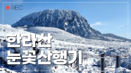 제주도 한라산 / 한라산 등산코스 / 겨울 한라산 - kakaoTV 제주도 한라산 / 한라산 등산코스 / 겨울 한라산