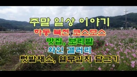 휴일 일상, 언니네와 함께 한 행복한 이야기 - kakaoTV 휴일 일상, 언니네와 함께 한 행복한 이야기