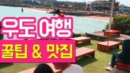 제주도 안의 섬 우도 여행 꿀팁부터 맛집 핫플까지 - kakaoTV 제주도 안의 섬 우도 여행 꿀팁부터 맛집 핫플까지