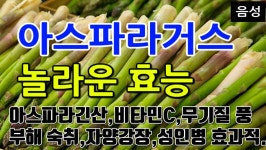 아스파라거스 효능 10가지 [ 숙취해소 ,자양강장, 성인병 등에 효과적..] - kakaoTV 아스파라거스 효능 10가지 [ 숙취해소 ,자양강장, 성인병... 