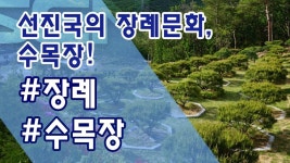 선진국의 장례문화, 수목장!_고은실 전문가 - kakaoTV 선진국의 장례문화, 수목장!_고은실 전문가
