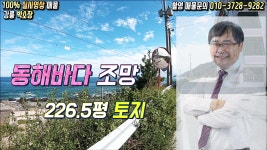 강릉동해바다 조망토지 226.5평 - kakaoTV 강릉동해바다 조망토지 226.5평