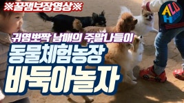 동물체험농장 세종 바둑아놀자 주말나들이 / 대전 근교 가볼만한곳 - kakaoTV 동물체험농장 세종 바둑아놀자 주말나들이 / 대전 근교 가볼만한곳