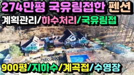 (★국유림과 계곡접한★)[양평펜션](양평엔NO.17857)국유림과 계곡접한 비발디파크인근 고급펜션 - kakaoTV (★국유림과 계곡접한... 