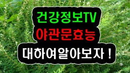 남자 정력 향상 야관문의효능,부작용,먹는법,콩팥,신장에좋은음식 10,차,영양제,약초,약 - kakaoTV 남자 정력 향상 야관문의효능,부작용... 