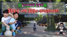 [혀니의 하루] 울산대공원 동물원을 가보았어요. 동물원엔 어떤 동물들이 살고있을까요? - kakaoTV [혀니의 하루] 울산대공원 동물원을... 