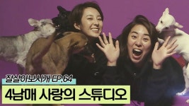 네 마리 견공들과 함께 하는 사랑의 스튜디오 [잘살아보시개 시즌3] 64회 - kakaoTV 네 마리 견공들과 함께 하는 사랑의 스튜디오... 